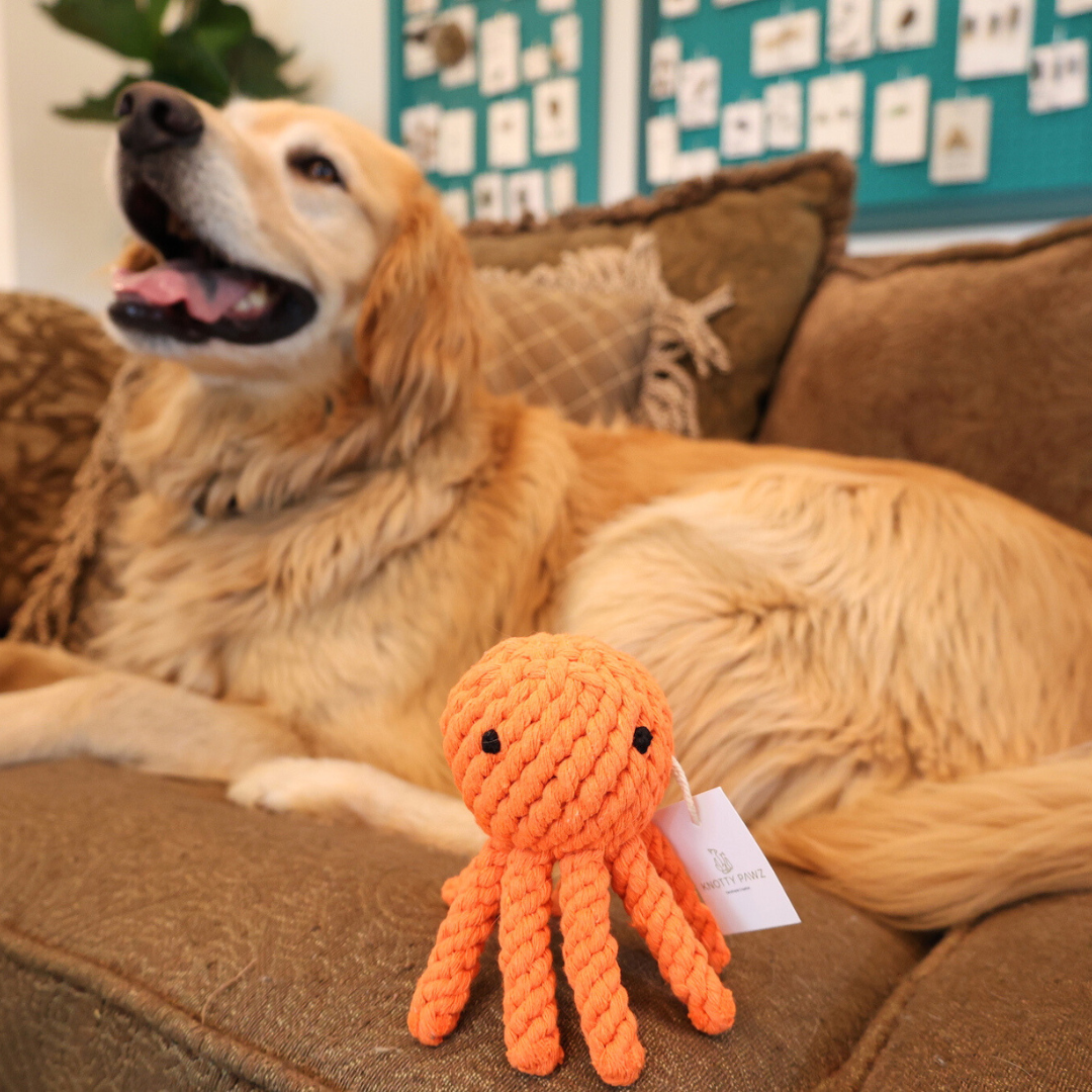 Ollie the Octopus Rope Toy