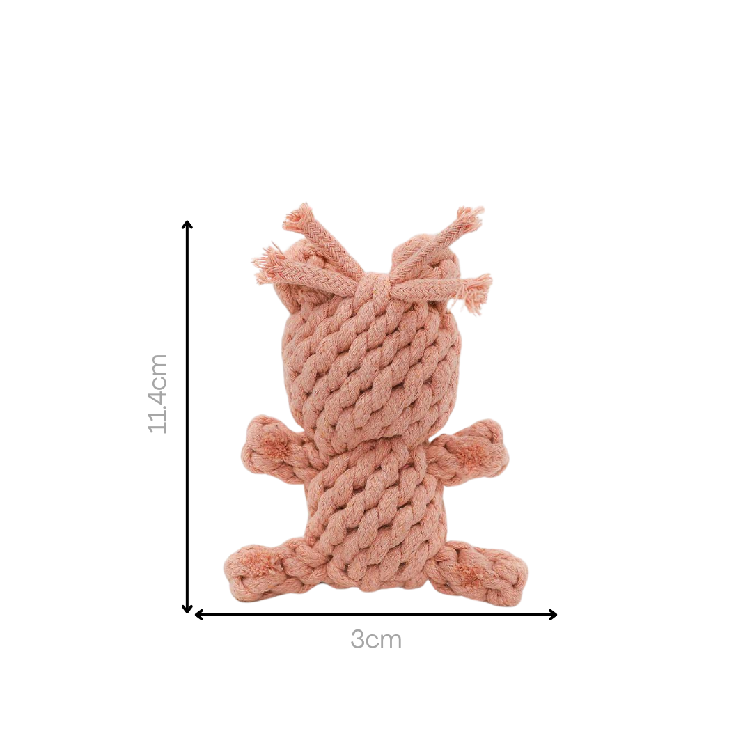 Sweetheart Macarons & Bear Hugs Collection Dog Toys